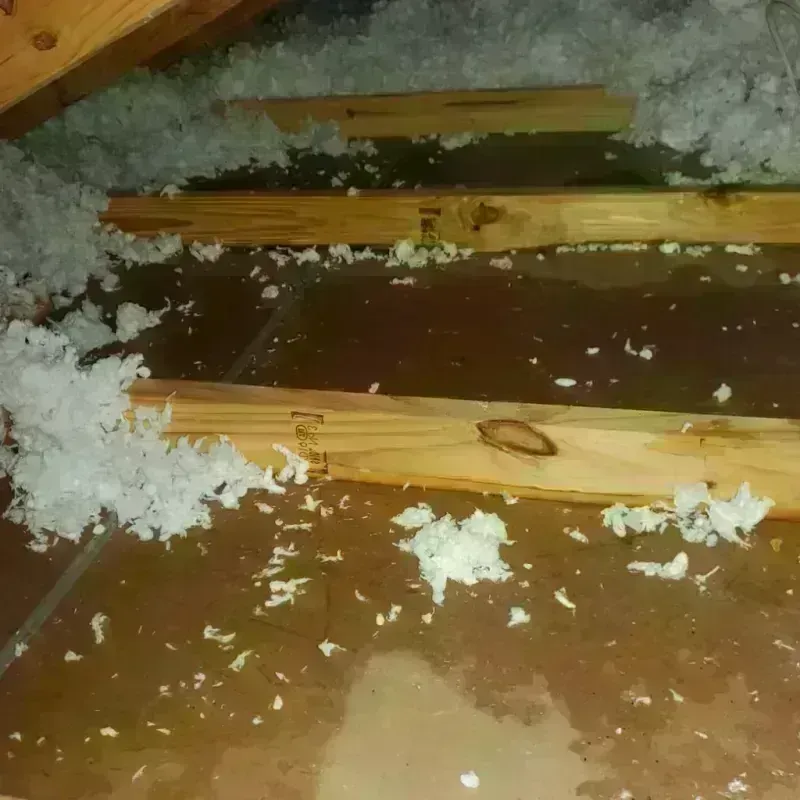 Attic Water Damage in Culebra, PR